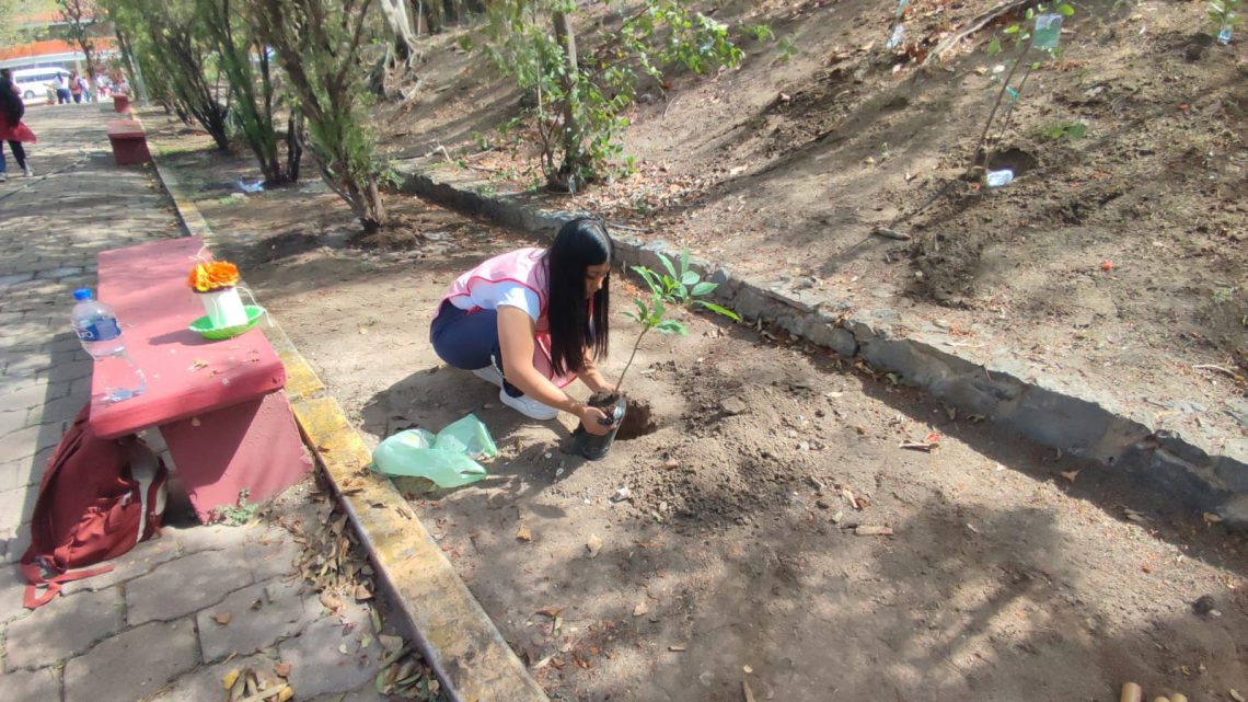 Siembran 300 árboles en el Día del Árbol