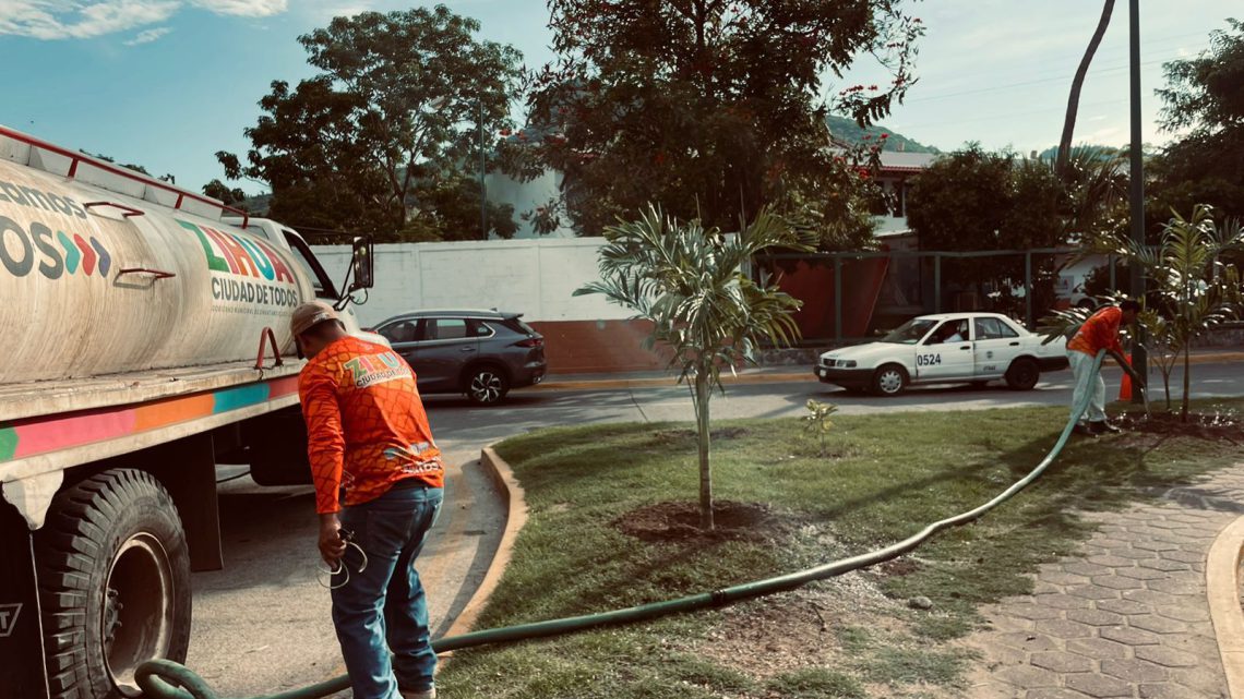 Servicios Públicos siembra palmas en diferentes puntos de la ciudad