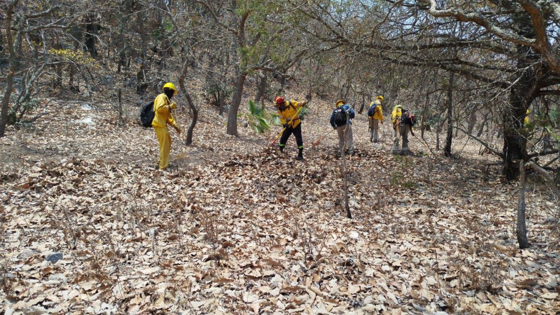 Se atienden 26 incendios forestales activos en Guerrero: SGIRPCGRO