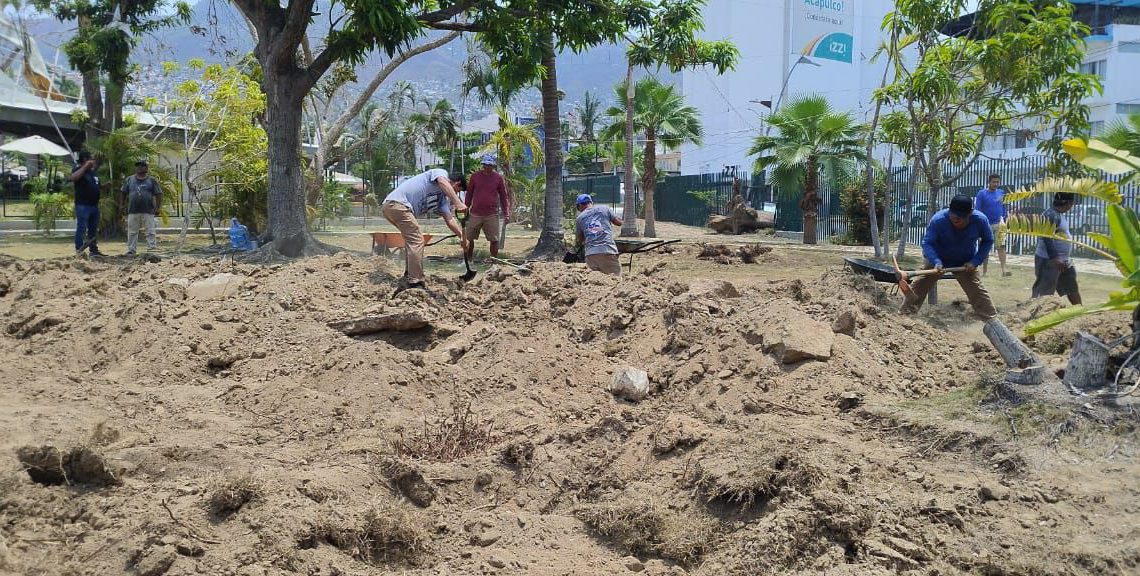 El Parque Papagayo se prepara para la reforestación con medio millón de árboles y plantas