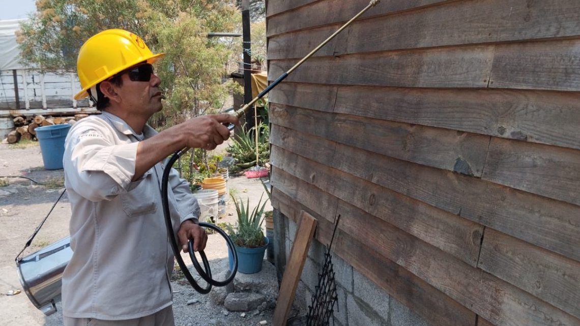 Mantiene la SSG acciones contra el mosco transmisor del dengue en Guerrero