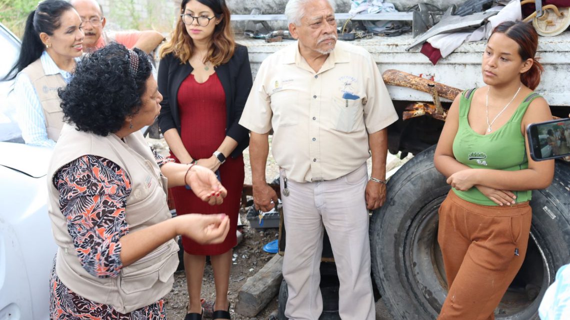 Supervisa secretaria de Salud, Aidé Ibarez Operativo de combate al dengue en Chilpancingo