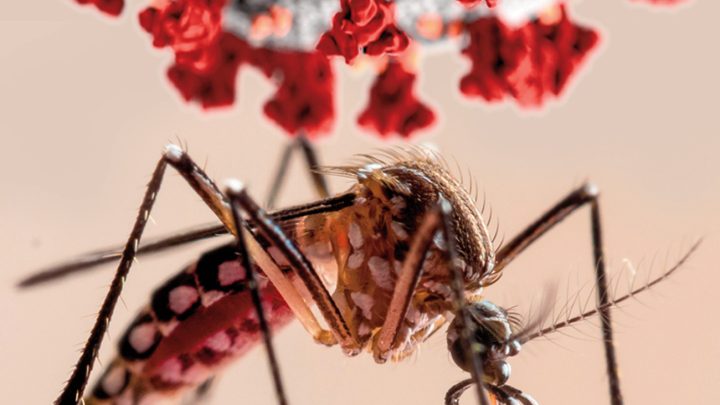 Guerrero primer lugar en dengue en México