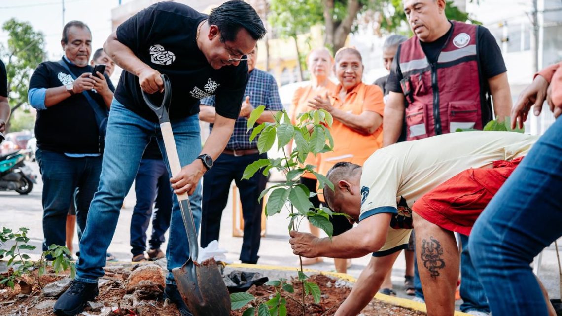 Sectur Guerrero lleva a cabo la Jornada de Reforestación en Zona Tradicional de Acapulco