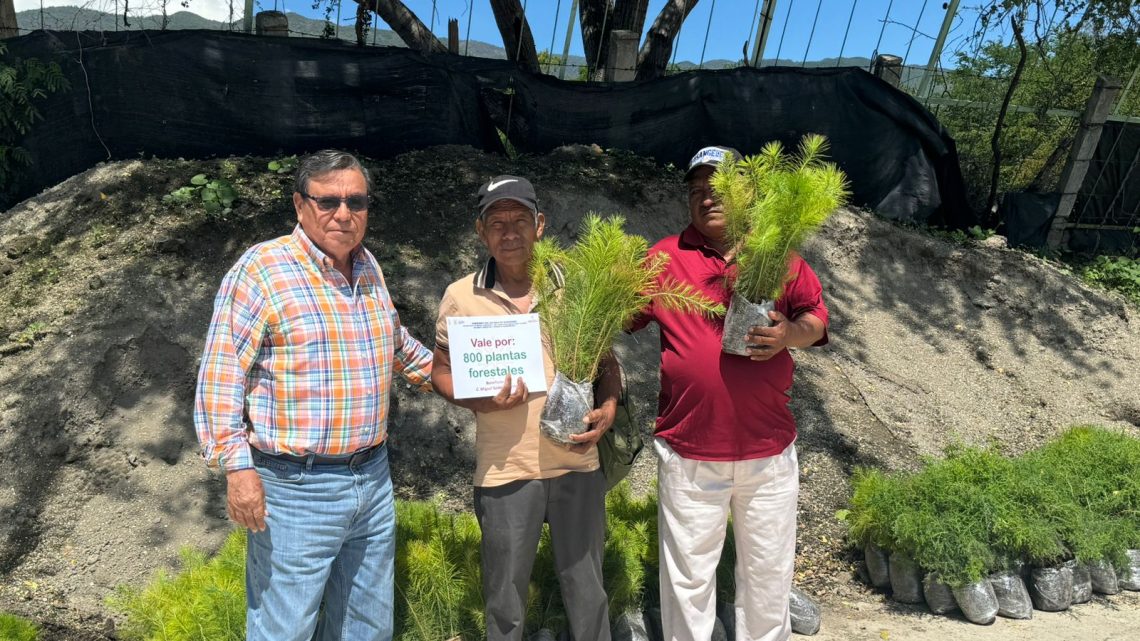 Continúa la Semaren Guerrero la entrega de otras 20 mil plantas para reforestación