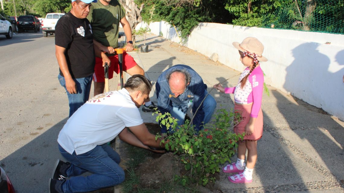 Realiza PROPAEG Jornada de Reforestación en zona afectadas por Otis en Acapulco