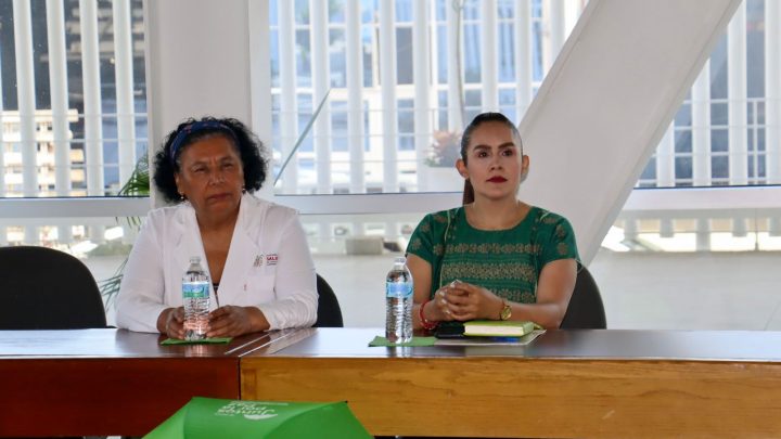 Asiste, Aidé Ibarez a presentación de resultados de brigada de Salud Mental post- huracán Otis