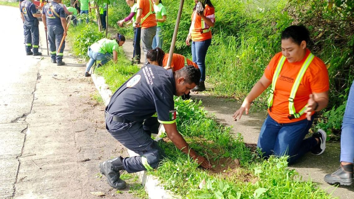 Evelyn Salgado impulsa la preservación del medio ambiente y reforestación en Chilpancingo