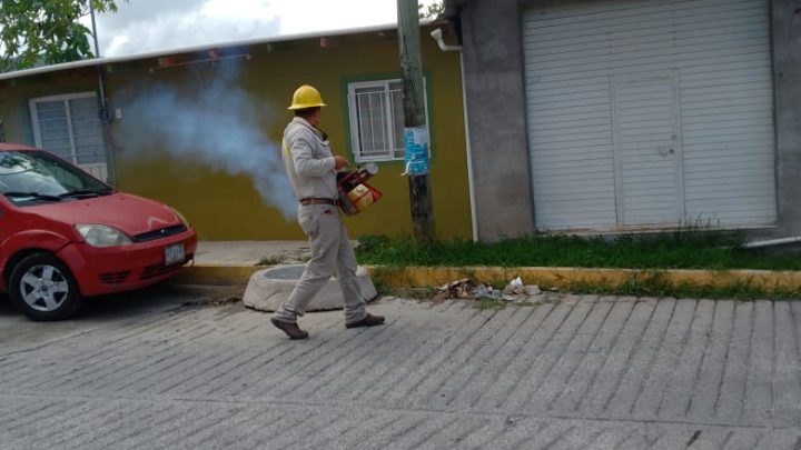 Continúa Evelyn Salgado reforzando acciones de combate al mosco transmisor del dengue en todo el estado