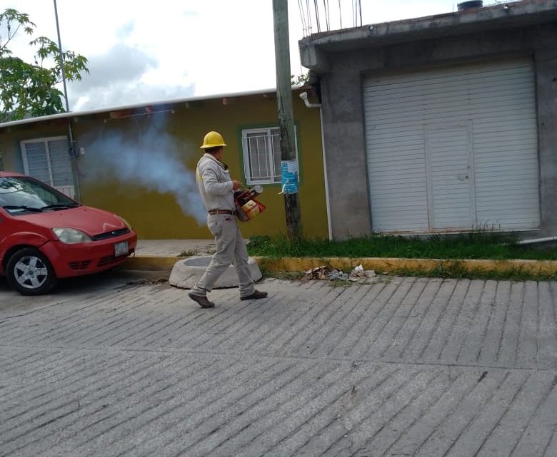 Continúa Evelyn Salgado reforzando acciones de combate al mosco transmisor del dengue en todo el estado