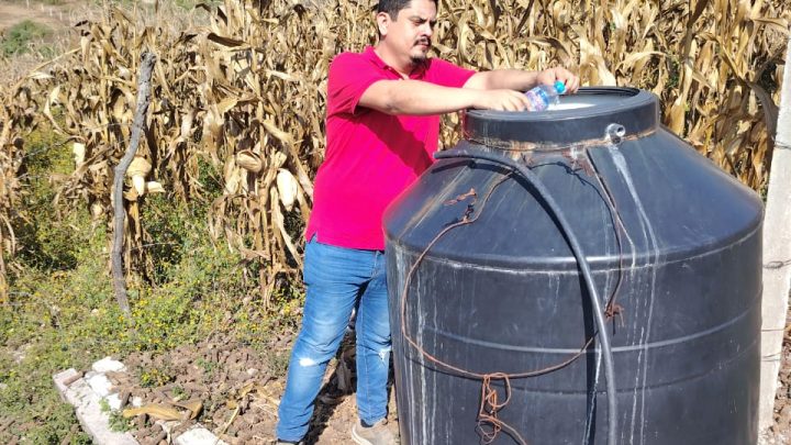 En Guerrero se mantiene bajo control la incidencia de casos de dengue