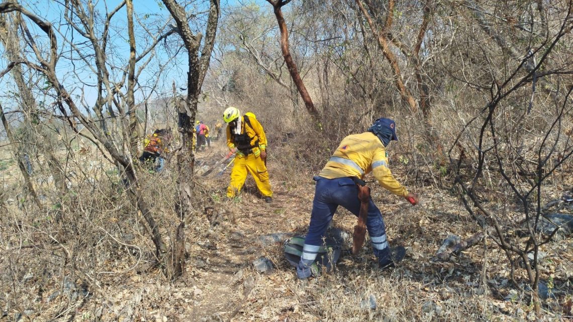 Brigadistas avanzan en el combate del incendio forestal en Iguala y sofocan siniestro en Taxco