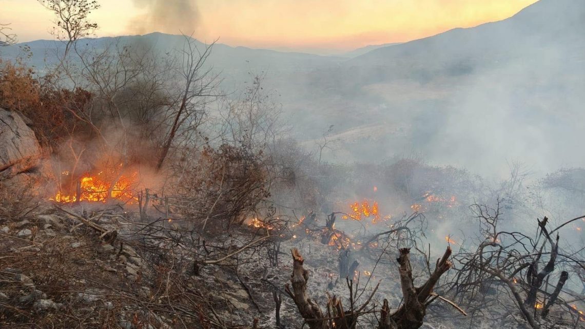 INCENDIO FORESTAL DE PLATANILLO NO REPRESENTA NINGÚN RIESGO PARA LA POBLACIÓN: SGIRPCGRO