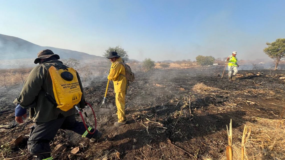 Avanza el combate al incendio forestal en Iguala: Controlado al 70% y 50% de liquidación, reportan autoridades