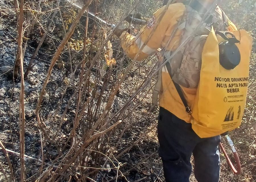 Brigadistas combaten incendio forestal al poniente de Chilpancingo